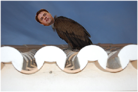 A rare picture of the Nick Griffin Vulture. <br />Happily this creature is hurtling towards oblivion and extinction.