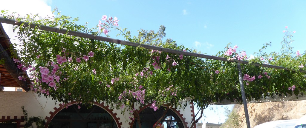 Image00006.jpg