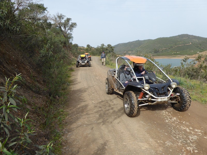 P1090785.jpg