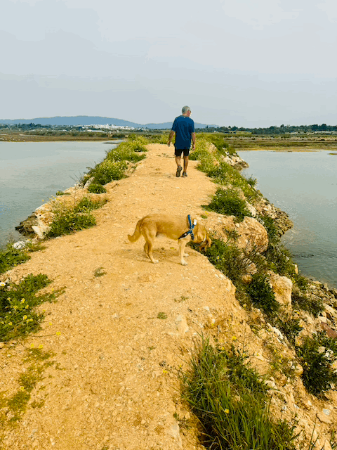 Russell and Toby lead the way!