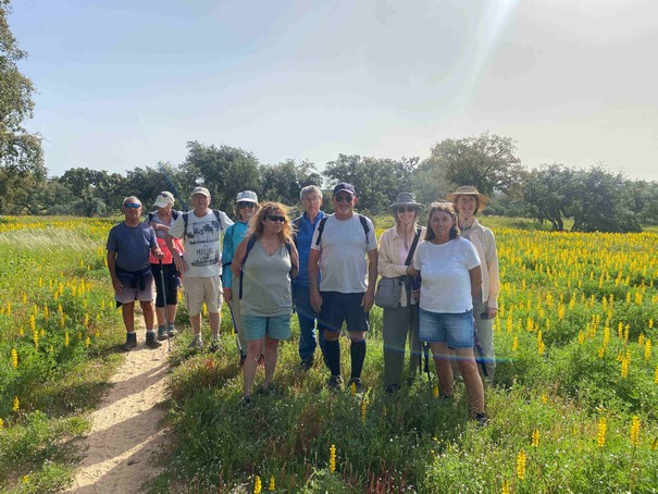 11 walkers and 2 dogs plus flowers.jpg