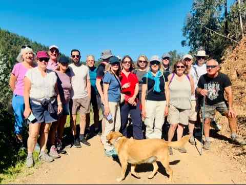 17 walkers and 1 dog.jpg