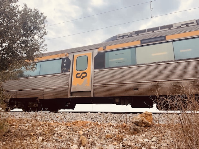 Train Spotted.JPG