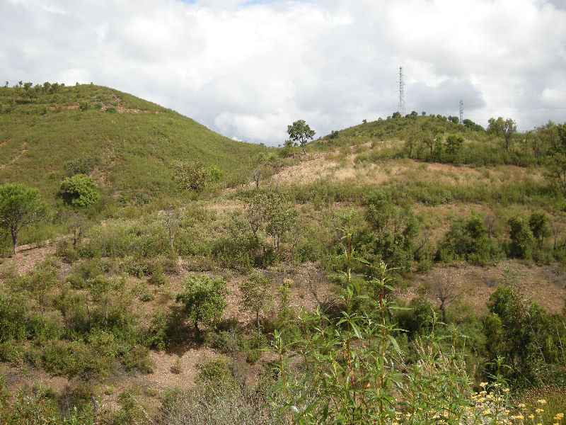 Silves2.jpg