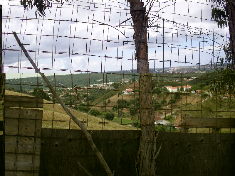 Silves6.jpg