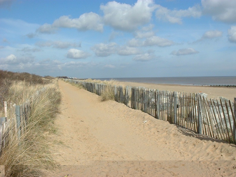 mystery beach.jpg